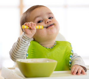 Homemade Chicken Baby Food